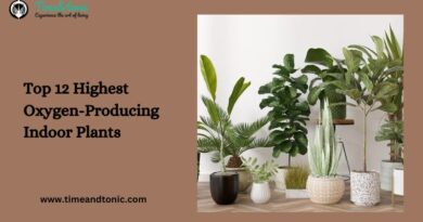 Top 12 Highest Oxygen-Producing Indoor Plants