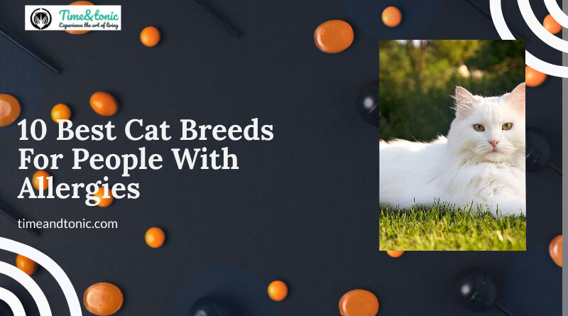 Best Cat Breeds For People With Allergies