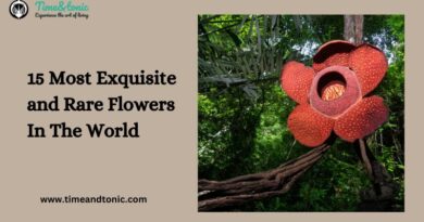 15 Most Exquisite and Rare Flowers In The World