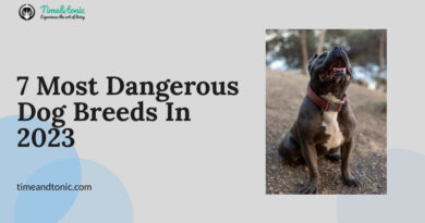 Most Dangerous Dog Breeds