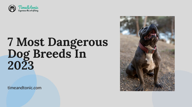 Most Dangerous Dog Breeds