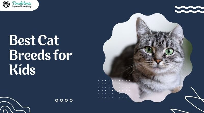 Best Cat Breeds for Kids