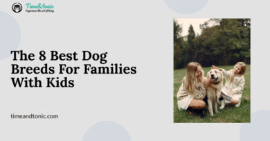 The 8 Best Dog Breeds For Families With Kids