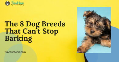 Dog Breeds