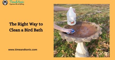 The Right Way to Clean a Bird Bath